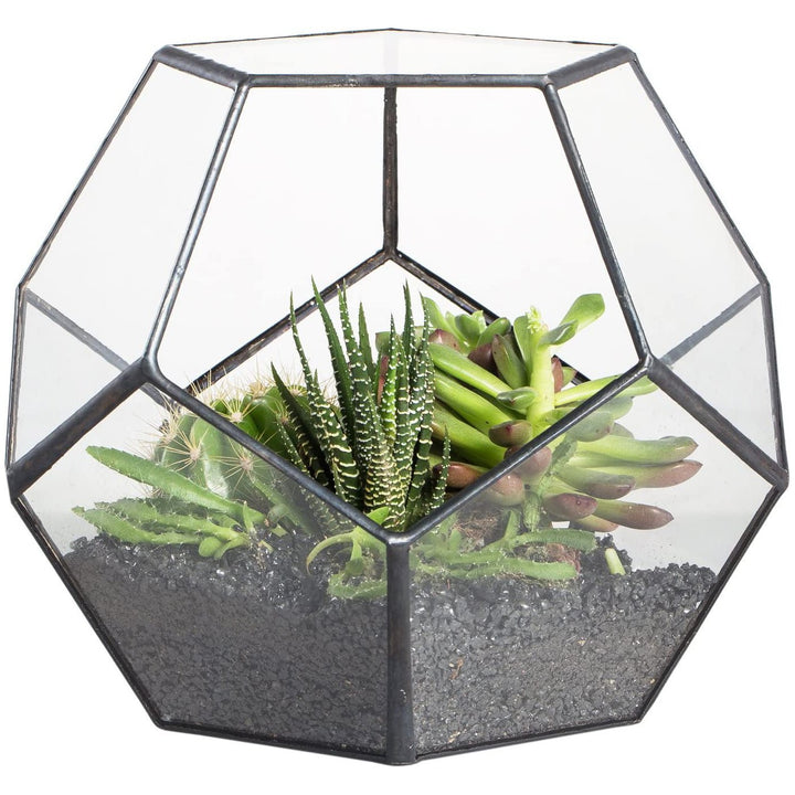 CDA Geometric Glass Open Dome Terrarium - Castle Dawn Aquatics