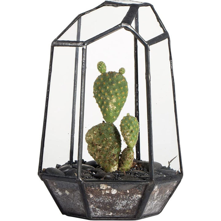 geometric plant terrarium CDA DIY Mossarium Geometric Glass Open Terrarium Medium (12.5cm x 19cm)