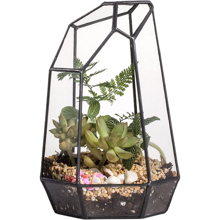 geometric air plant terrarium CDA Geometric Glass Open Terrarium