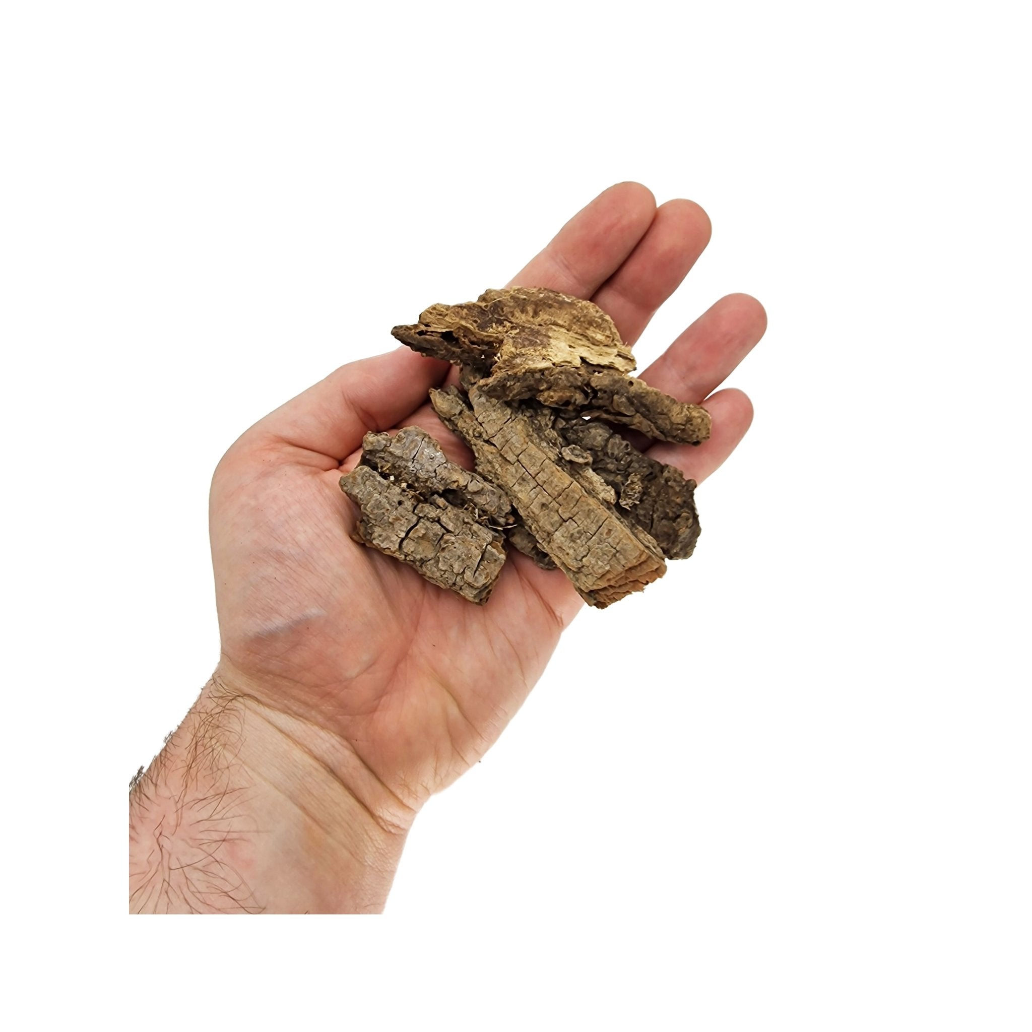 Champagne Tree Bark Chips - Castle Dawn Aquatics