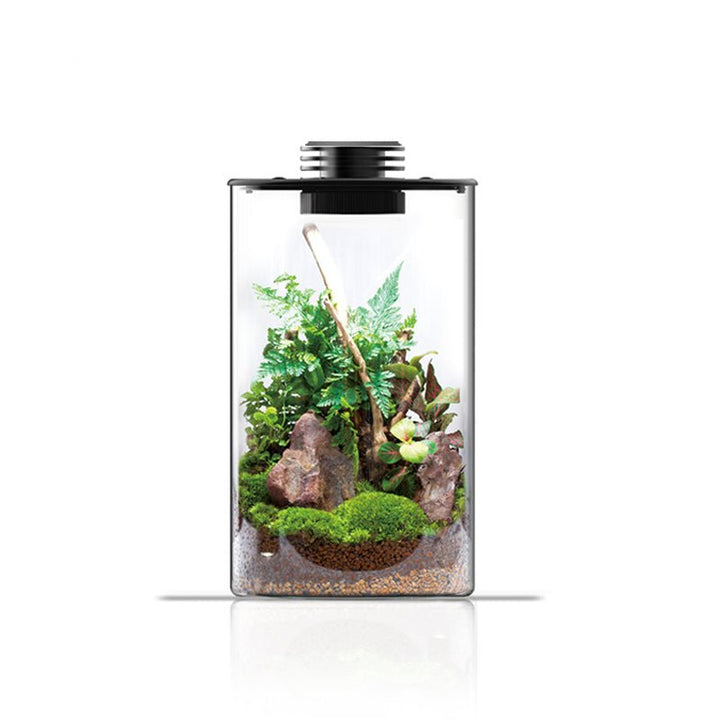 Cylindrical Terrarium (ZD-150 / ZD-200) With LED - Castle Dawn Aquatics