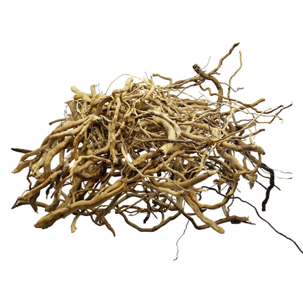 TRUE Accent Driftwood Roots – natural aquarium hardscape wood for aquascaping and blackwater tanks by Castle Dawn Aquatics