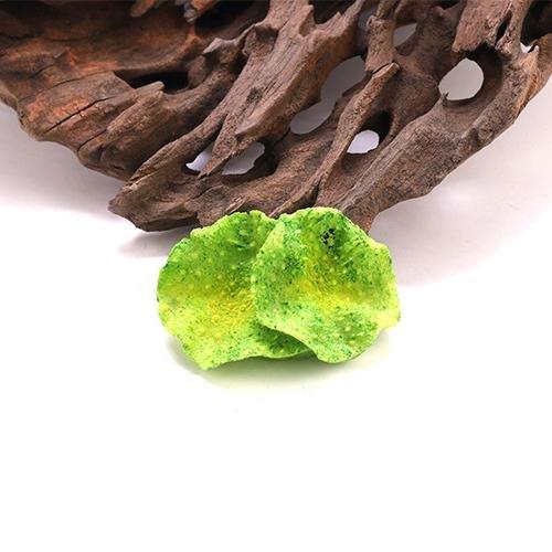 Eco-friendly Artificial Coral Reef Decoration 16 Piece Complete Set - Castle Dawn AquaticsAquarium Decor