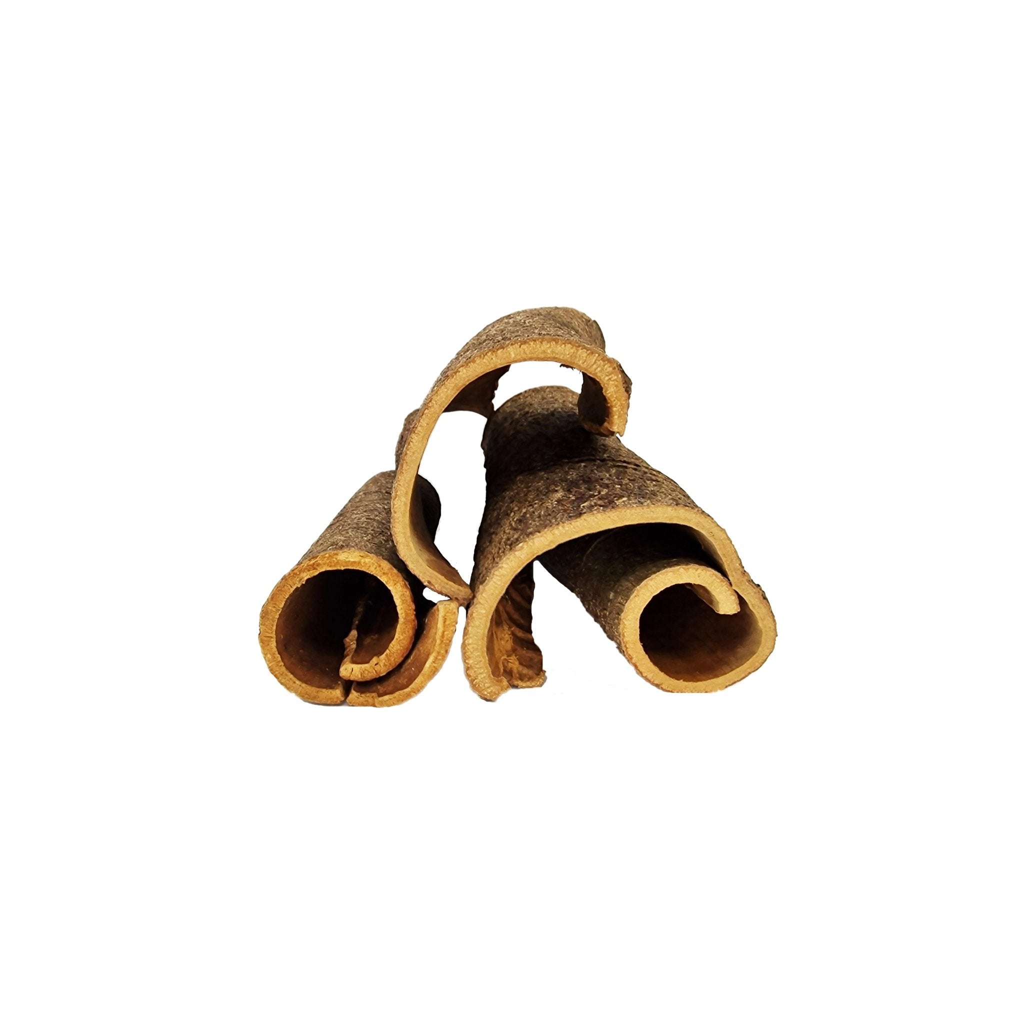 Extra Large Raw Cinnamon Bark Curl Caves - Castle Dawn Aquatics