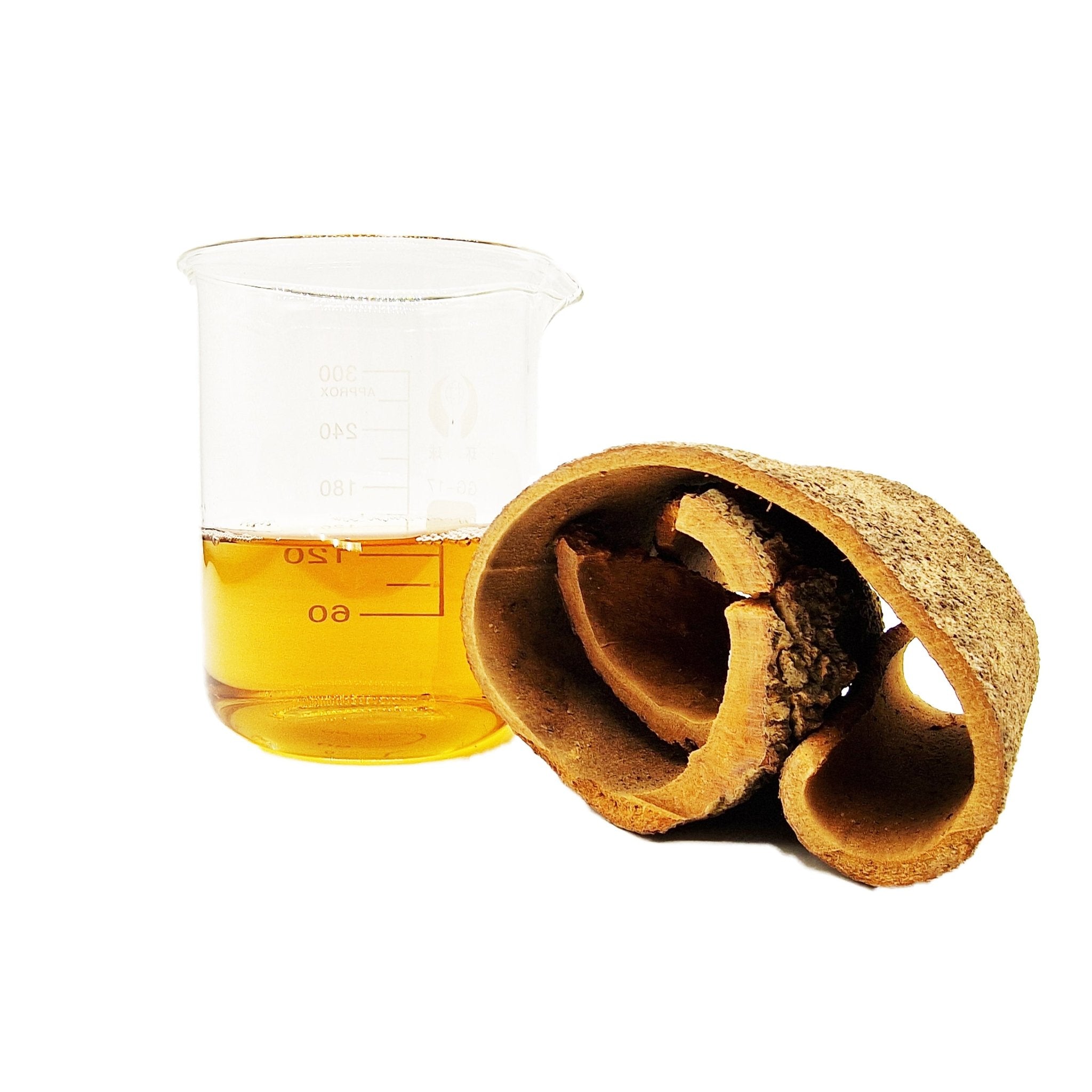 Extra Large Raw Cinnamon Bark Curl Caves - Castle Dawn Aquatics