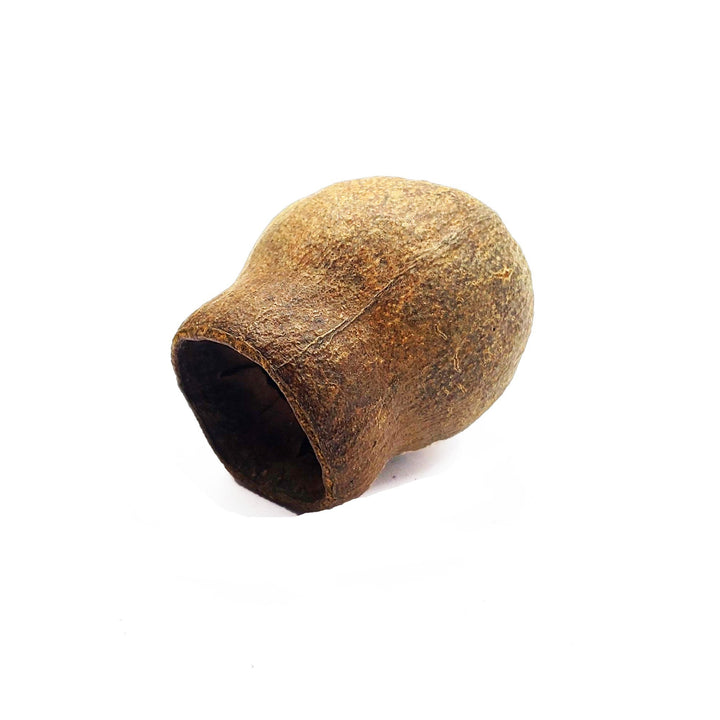 Guadou Pods - Castle Dawn Aquatics