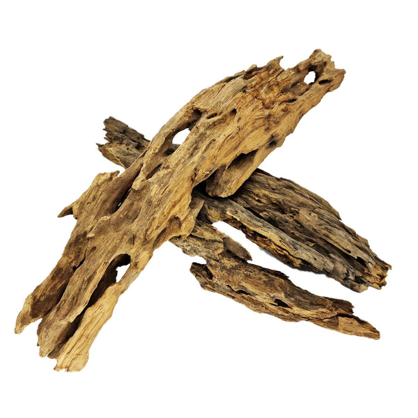 Hand Selected Large Dragon Wood Three Piece Set 1 - Castle Dawn Aquatics