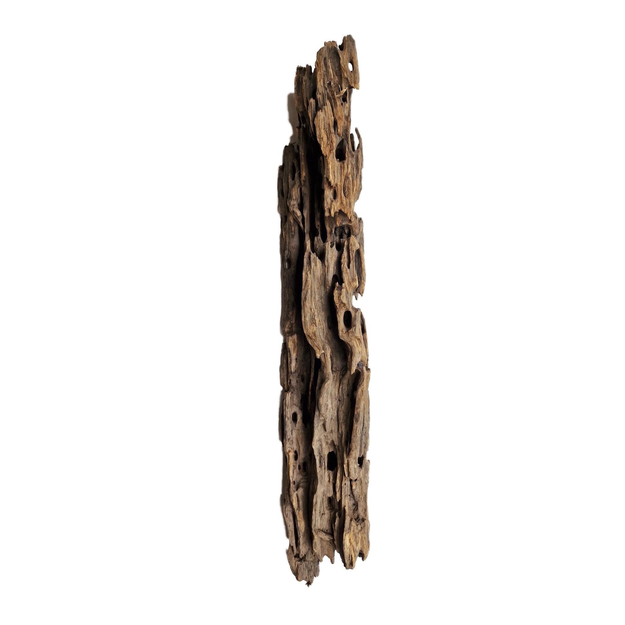 Hand Selected Large Dragon Wood Three Piece Set 2 - Castle Dawn Aquatics