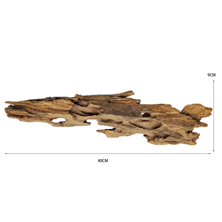 Hand Selected Large Dragon Wood Three Piece Set 2 - Castle Dawn Aquatics