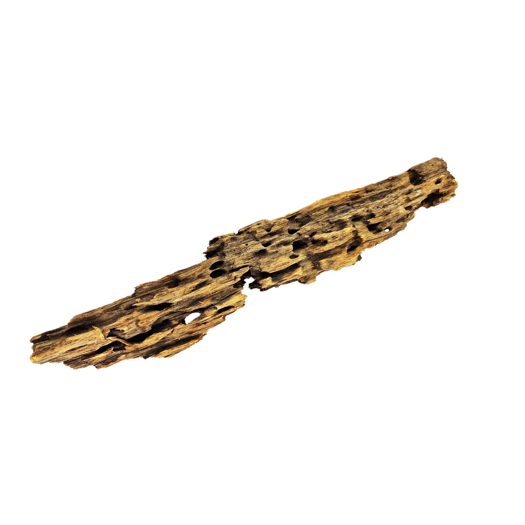 Hand Selected Large Dragon Wood Three Piece Set 2 - Castle Dawn Aquatics