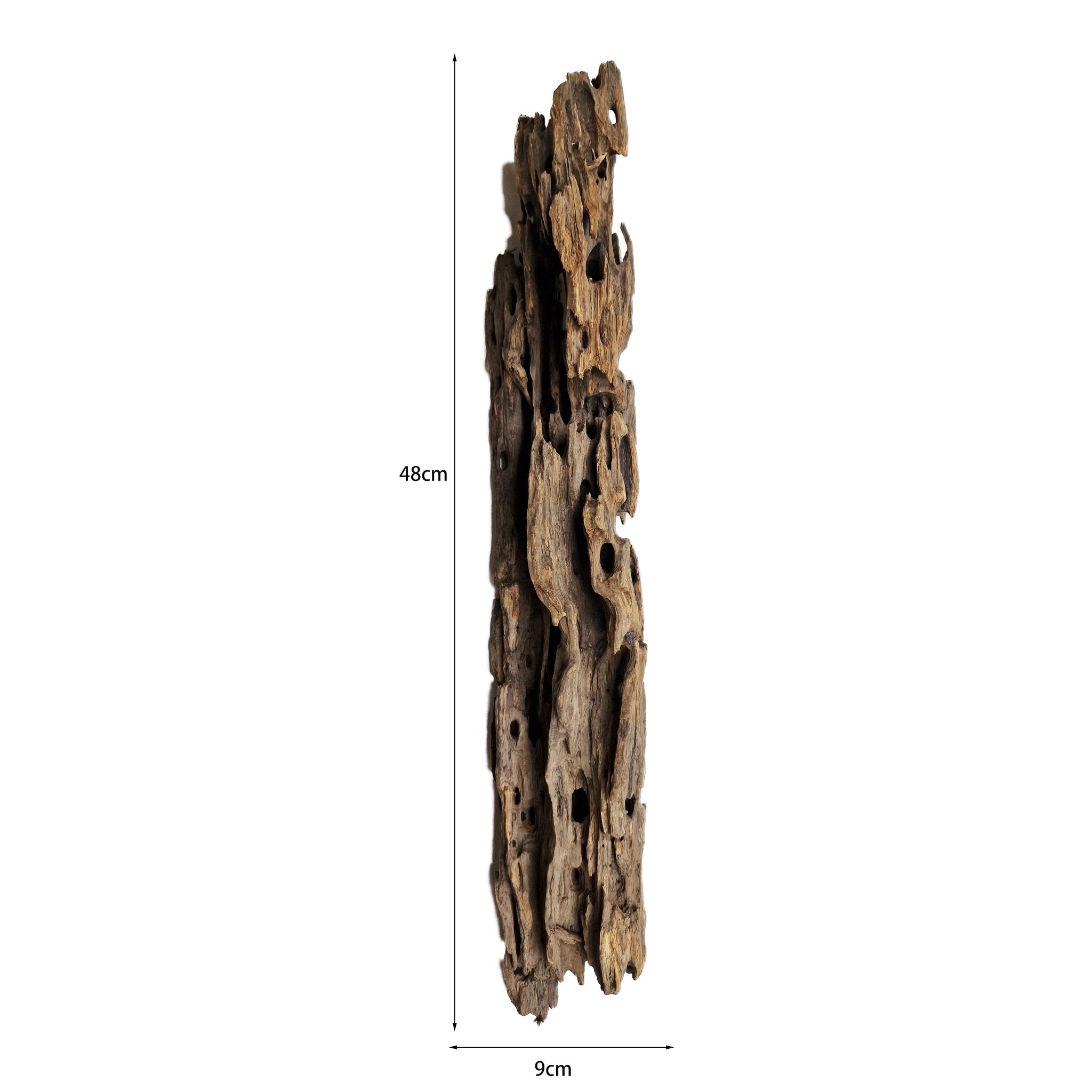 Hand Selected Large Dragon Wood Three Piece Set 2 - Castle Dawn Aquatics