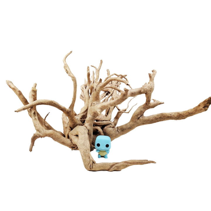 Hand Selected Spider Wood Azalea Root - Extra Large - Castle Dawn Aquatics