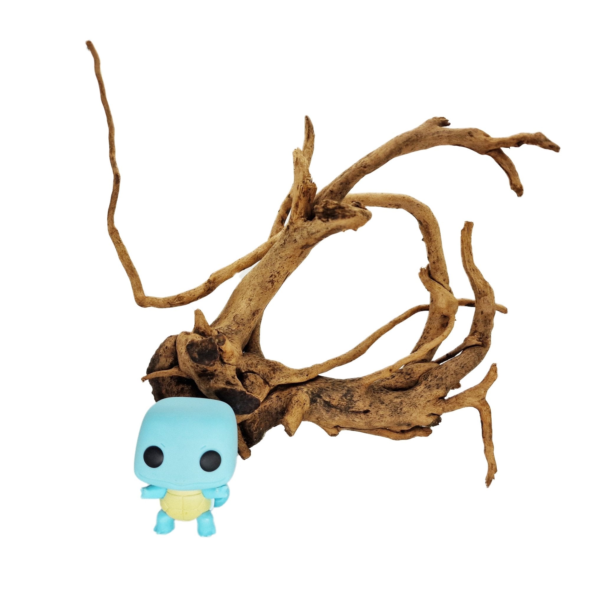 Hand Selected Spider Wood Azalea Root - Large - Castle Dawn Aquatics