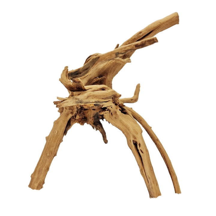 Hand Selected Spider Wood Azalea Root - Large - Castle Dawn Aquatics