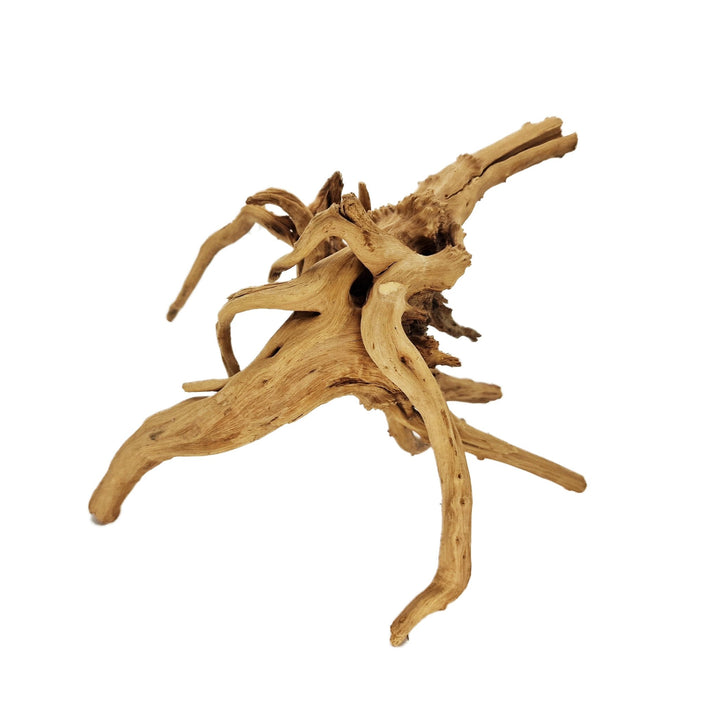 Hand Selected Spider Wood Azalea Root - Large - Castle Dawn Aquatics