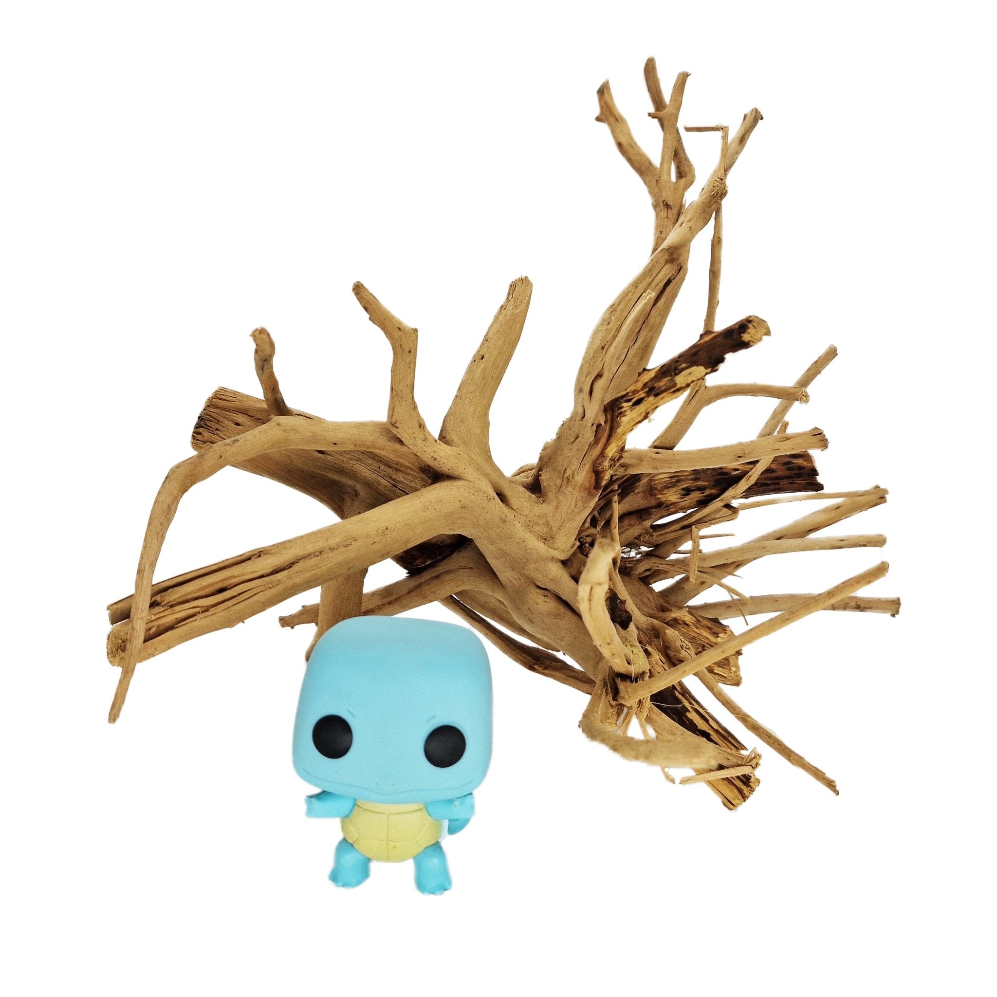 Hand Selected Spider Wood Azalea Root - Large - Castle Dawn Aquatics