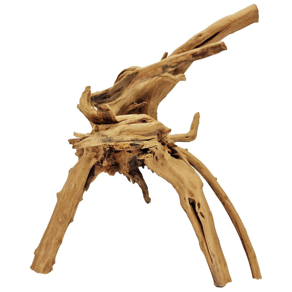 Hand Selected Spider Wood Azalea Root - Large - Castle Dawn Aquatics