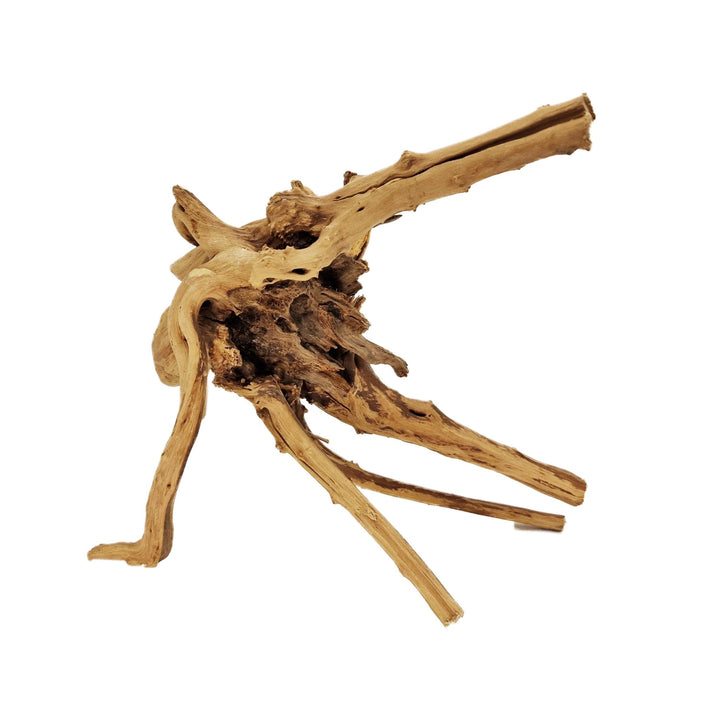 Hand Selected Spider Wood Azalea Root - Large - Castle Dawn Aquatics