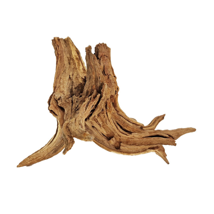 Hand Selected Spider Wood Azalea Root - Medium - Castle Dawn Aquatics