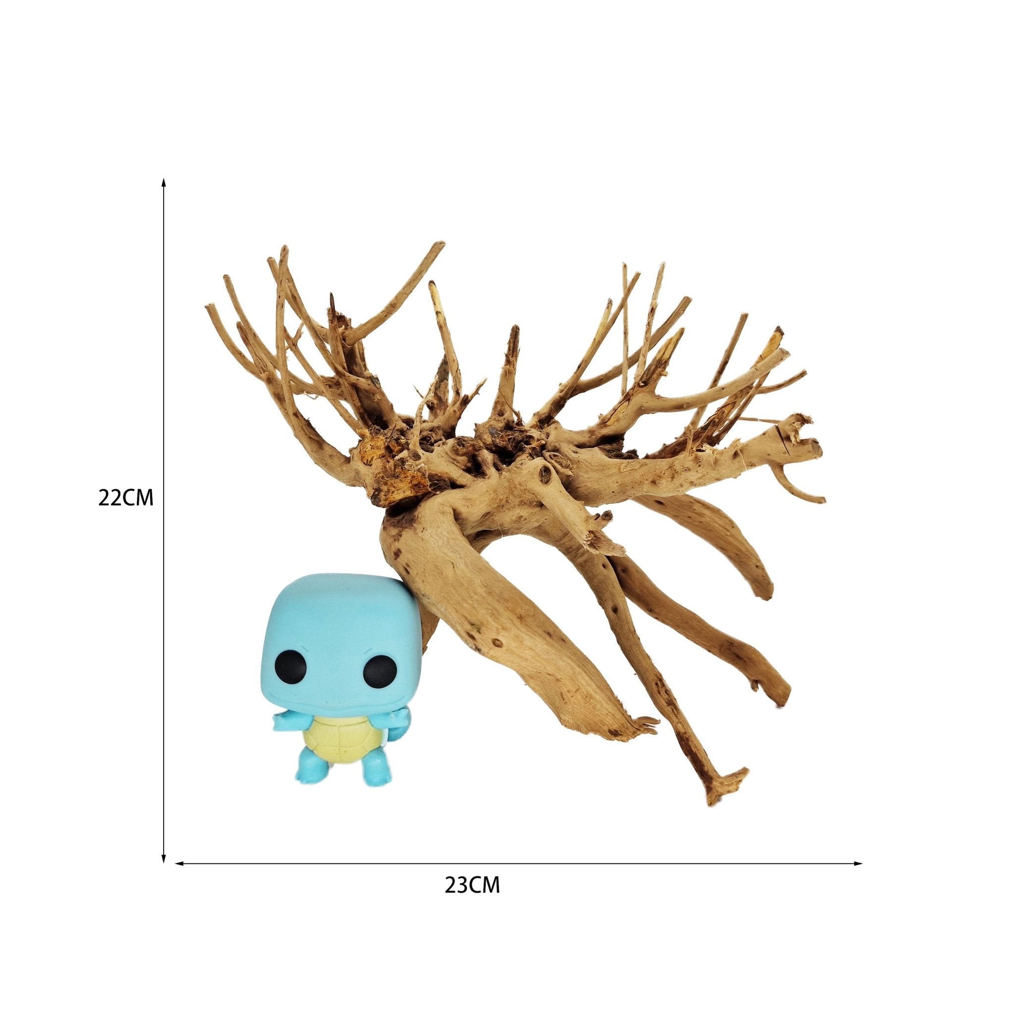 Hand Selected Spider Wood Azalea Root - Medium - Castle Dawn Aquatics