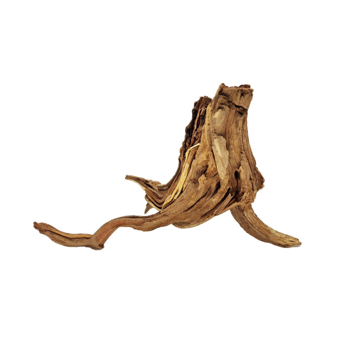 Hand Selected Spider Wood Azalea Root - Medium - Castle Dawn Aquatics