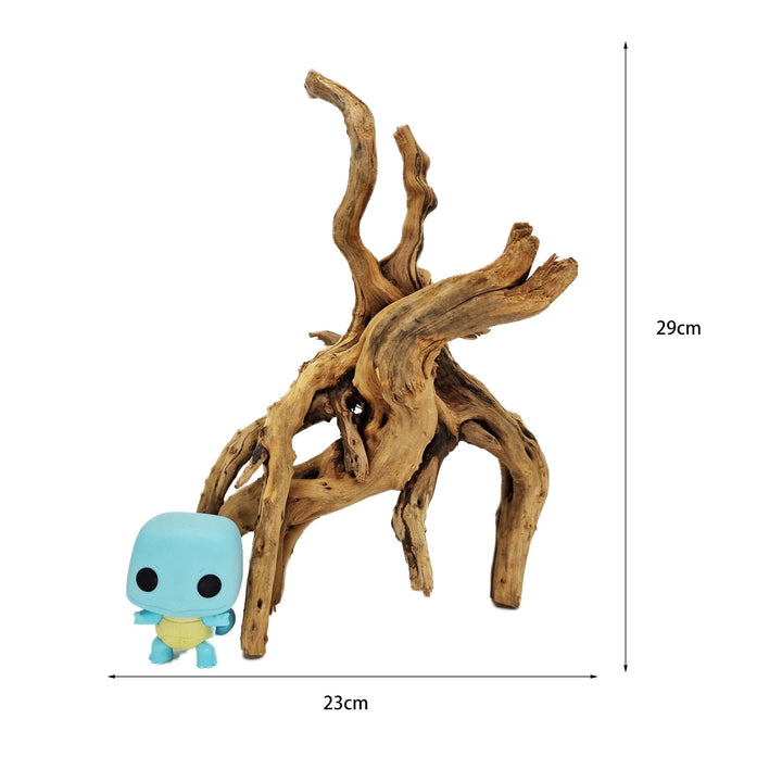 Hand Selected Spider Wood Azalea Root - Medium - Castle Dawn Aquatics