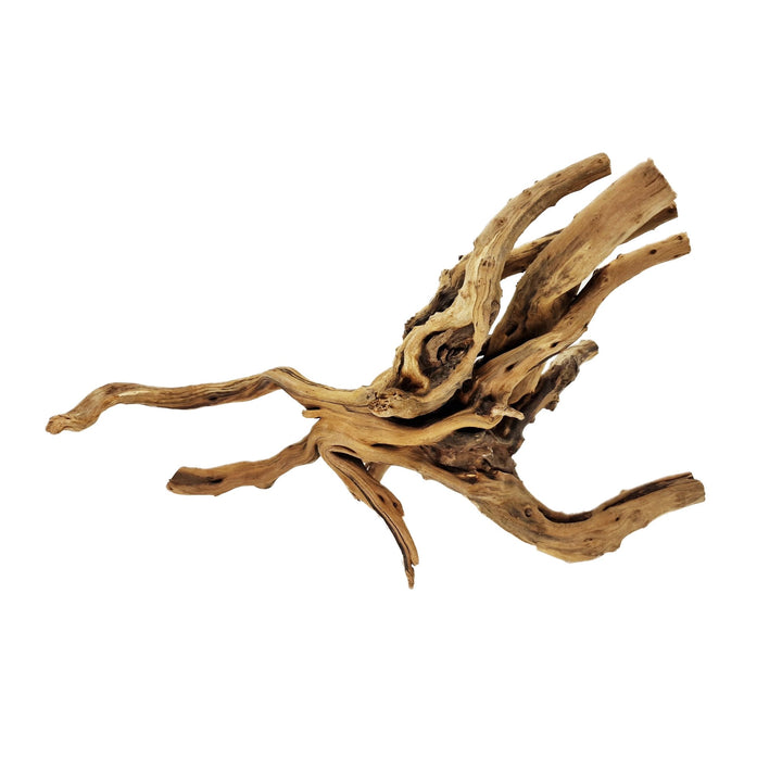 Hand Selected Spider Wood Azalea Root - Medium - Castle Dawn Aquatics