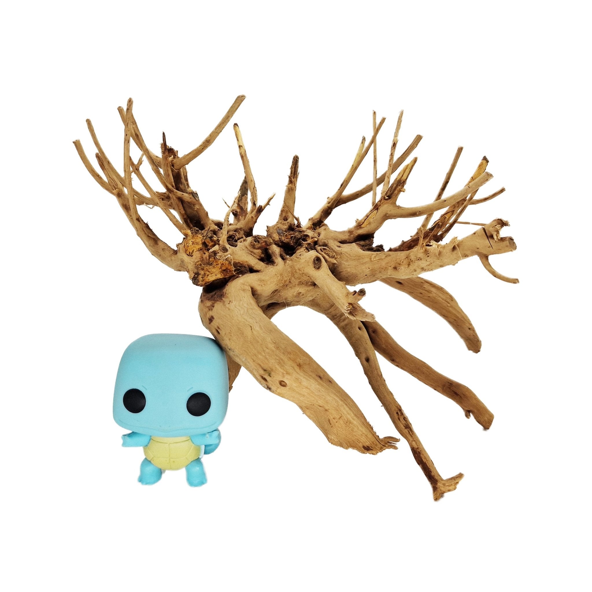 Hand Selected Spider Wood Azalea Root - Medium - Castle Dawn Aquatics
