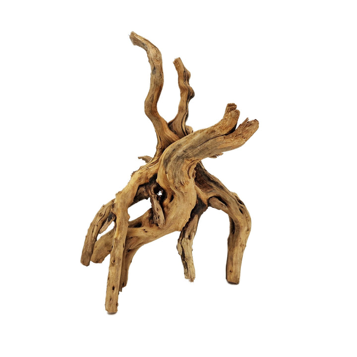 Hand Selected Spider Wood Azalea Root - Medium - Castle Dawn Aquatics