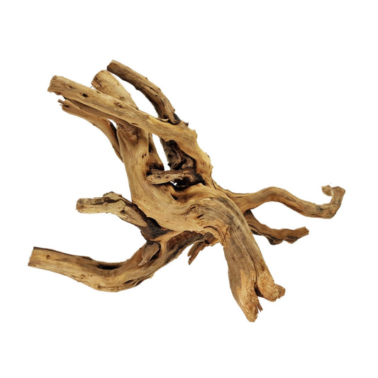 Hand Selected Spider Wood Azalea Root - Medium - Castle Dawn Aquatics