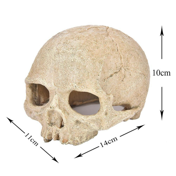 Human Skull Aquarium Ornament - Castle Dawn AquaticsAquarium Decor