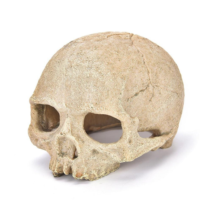 Human Skull Aquarium Ornament - Castle Dawn AquaticsAquarium Decor