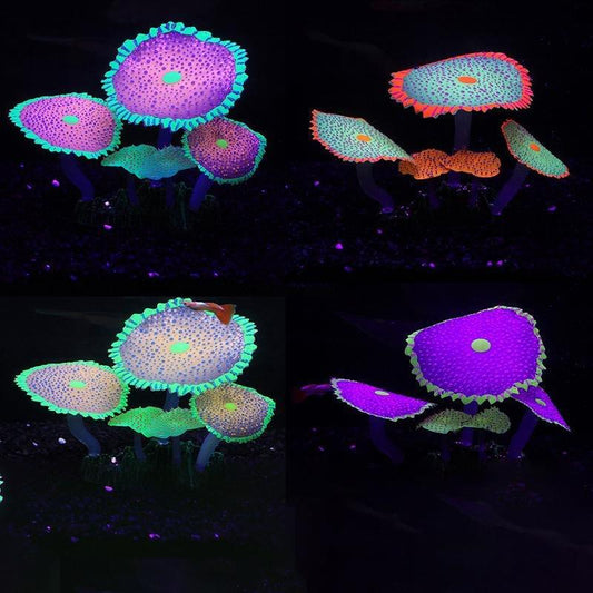 Large Artificial Coral Mushroom Polyp Glowing Plant Decoration - Castle Dawn AquaticsArtificial Plants