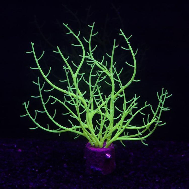 Large Artificial Glowing Coral Sea Fan Plant - Castle Dawn AquaticsArtificial Aquarium Plastic Fish Tank Plants