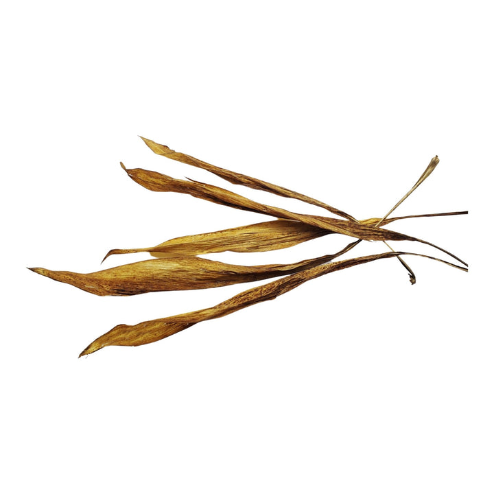 Large Bamboo Leaves (20 Pack) - Castle Dawn Aquatics