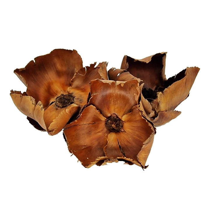 Large Coco Palm Flowers (3 Pack) - Castle Dawn Aquatics