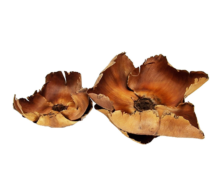 Large Coco Palm Flowers (3 Pack) - Castle Dawn Aquatics
