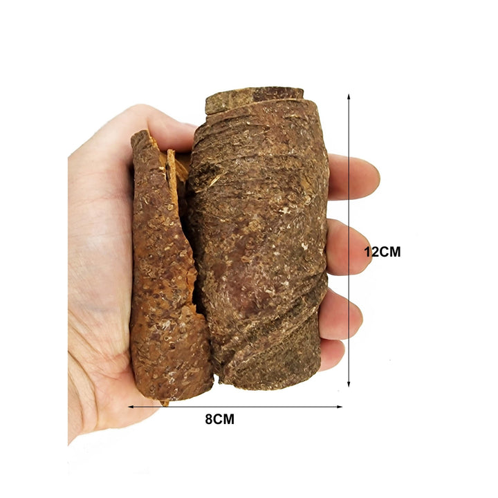 Large Raw Cinnamon Bark Curl Caves - Castle Dawn Aquatics