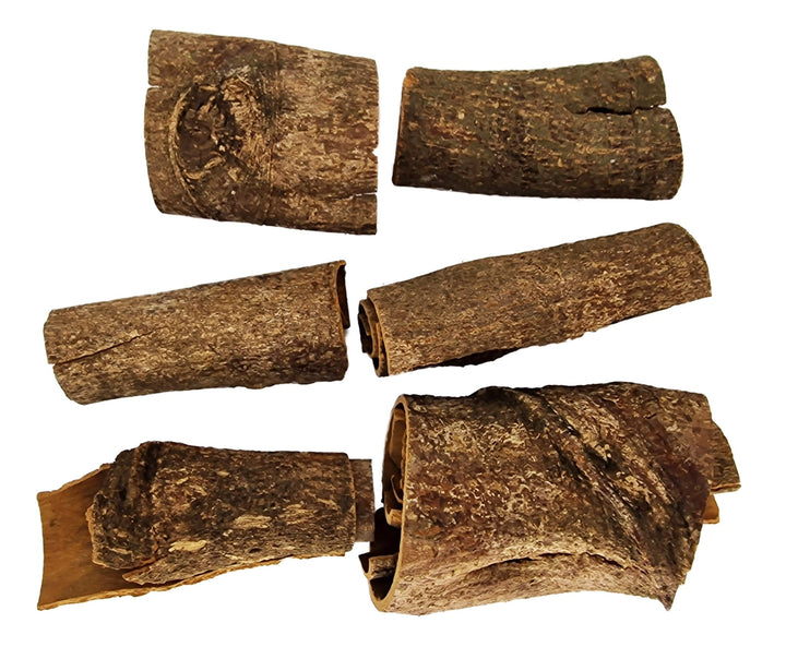 Large Raw Cinnamon Bark Curl Caves - Castle Dawn Aquatics