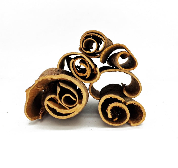 Large Raw Cinnamon Bark Curl Caves - Castle Dawn Aquatics