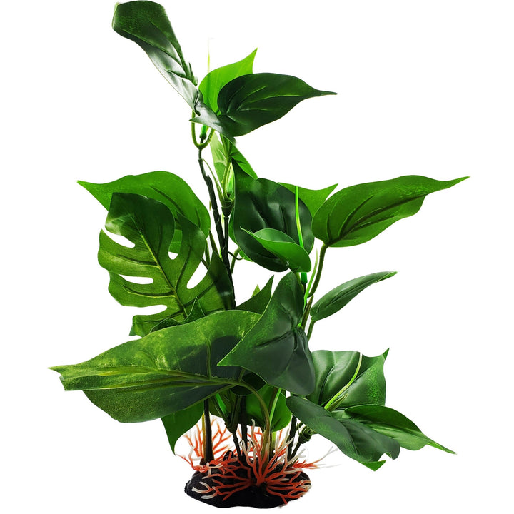 monstera deliciosa aquarium Large Silk Anubias And Monstera Plant
