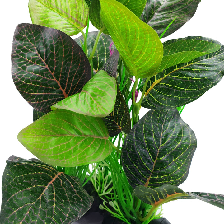 Large Silk Fittonia Green Red Plant - Castle Dawn Aquatics