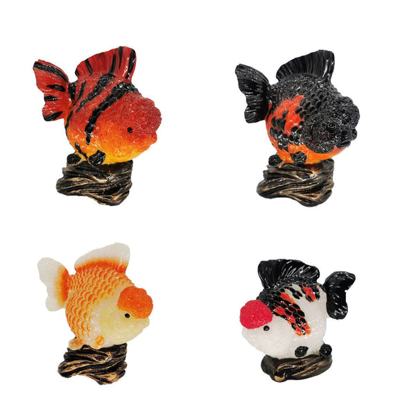 *LIMITED EDITION* Lionhead Goldfish Desktop Ornament - Castle Dawn Aquatics