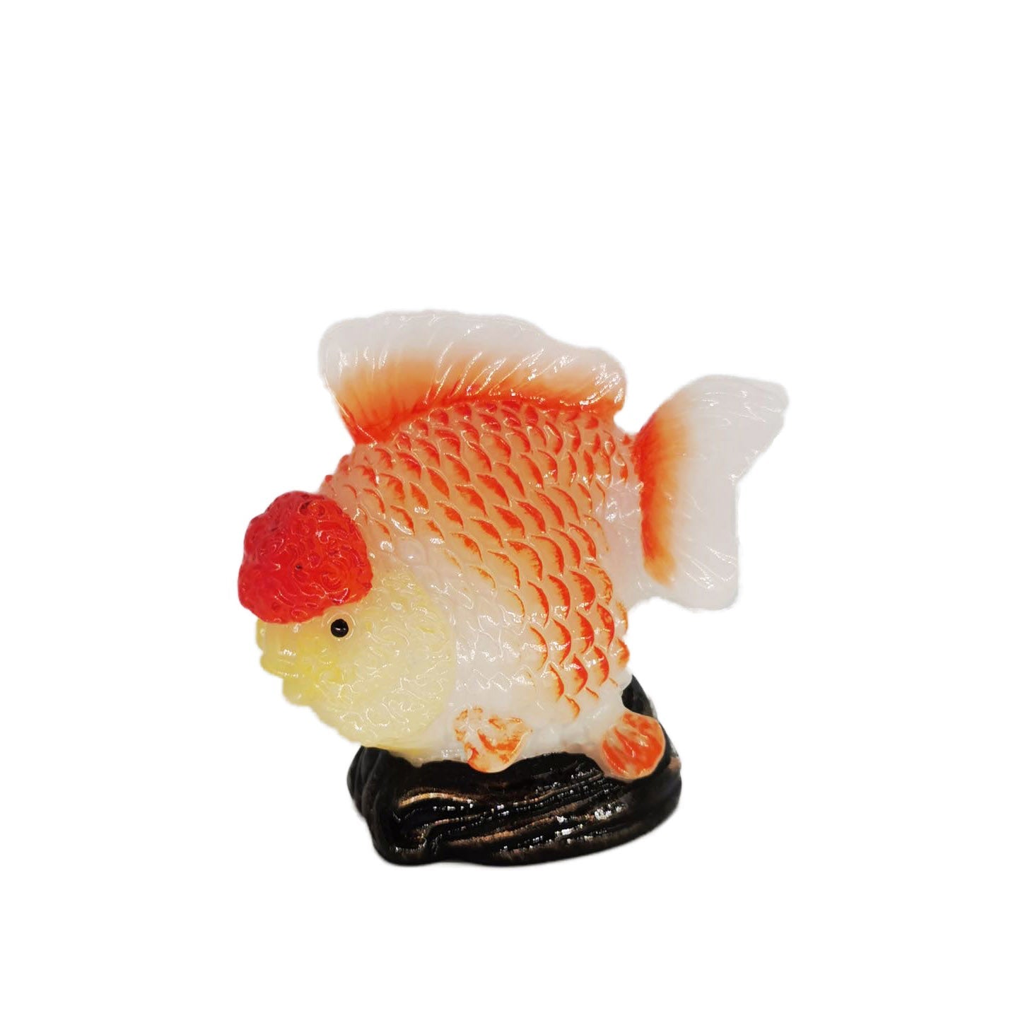 *LIMITED EDITION* Lionhead Goldfish Desktop Ornament - Castle Dawn Aquatics