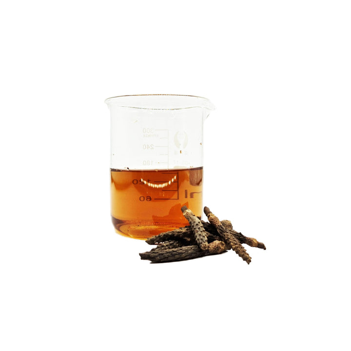 Magnolia Stems (30 Pack) - Castle Dawn Aquatics
