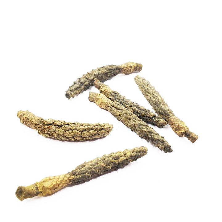 Magnolia Stems - Castle Dawn Aquatics