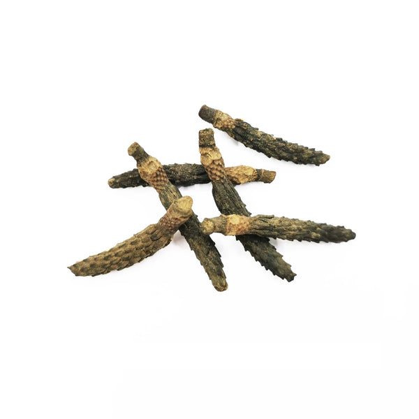 Magnolia Stems - Castle Dawn Aquatics