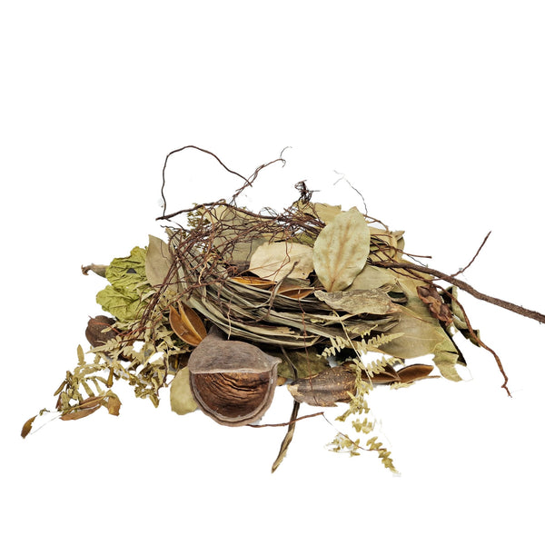 Malaysian Forest Jumbo Leaf Litter Starter Pack - Castle Dawn Aquatics