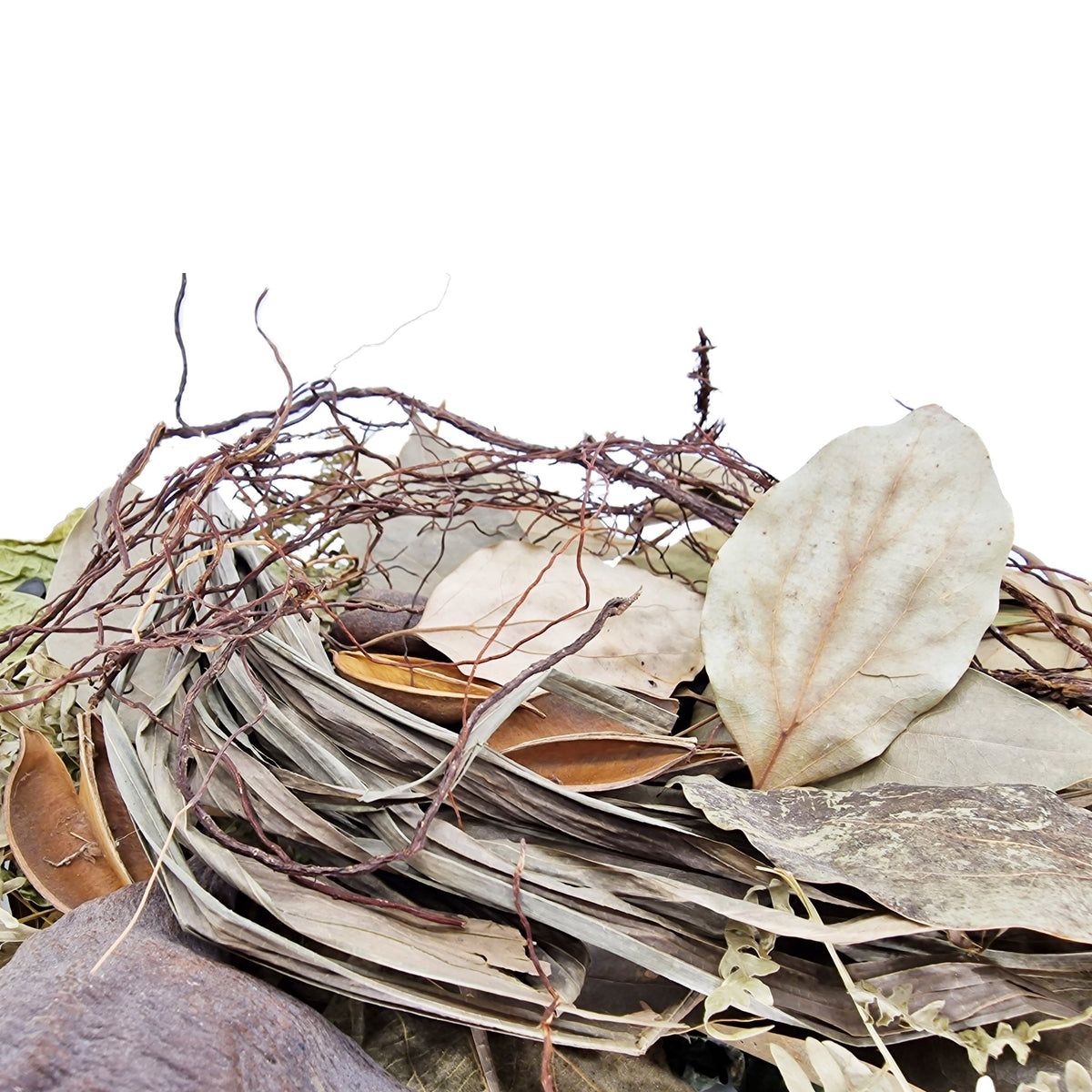 Aquatic Botanicals Malaysian Leaf Litter Pack Blackwater Aquarium