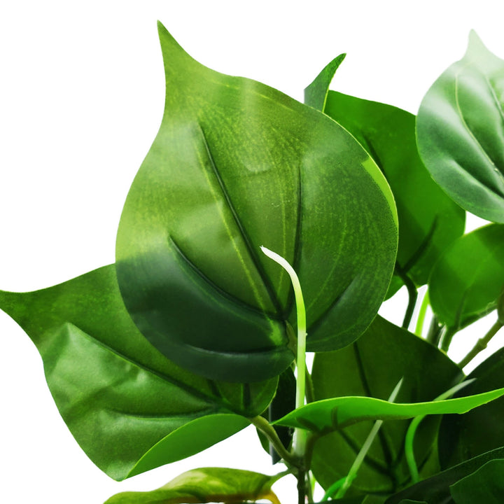 Medium Silk Anubias And Monstera Plant - Castle Dawn Aquatics